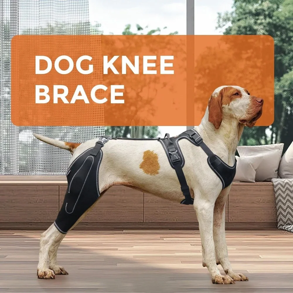 LISPOO Dog Acl Knee Brace‎ Torn Acl Leg Luxating Patella Relieves Joint Pain L